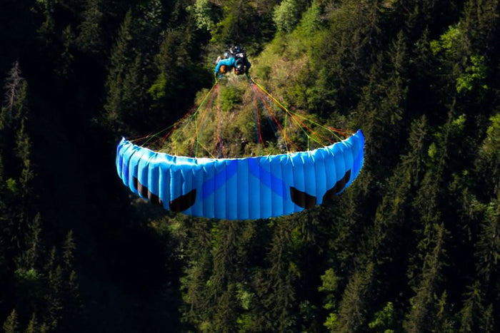 Ozone Dragonfly (2025)