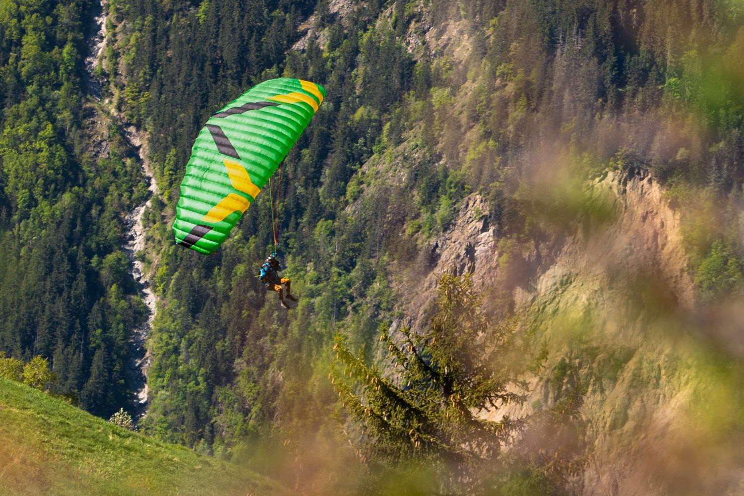 Ozone Dragonfly (2025)