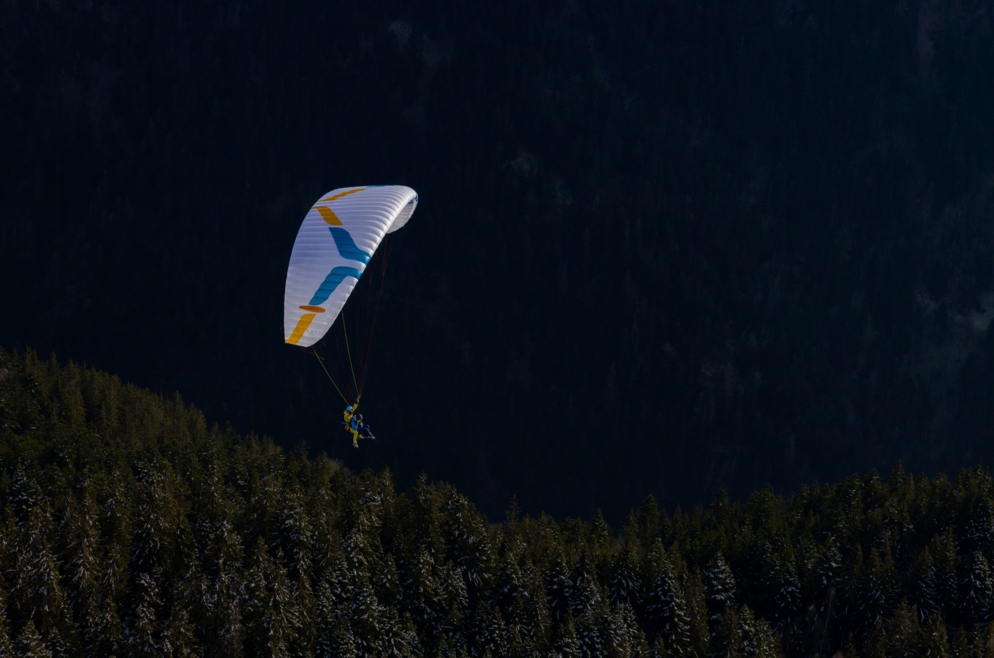Ozone Wisp 2 (2025)